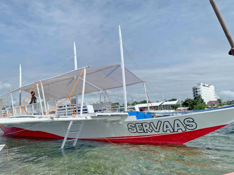 cebu island hopping tour